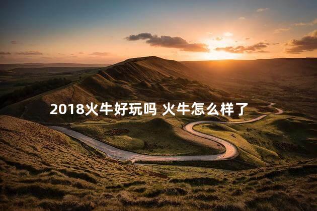 2018火牛好玩吗 火牛怎么样了